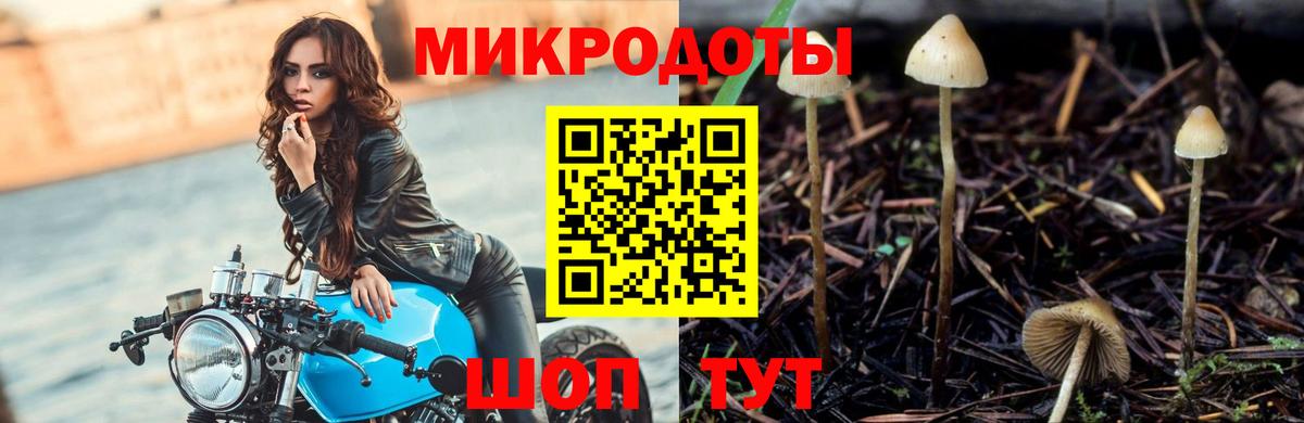 Псилоцибиновые грибы мицелий  Вход с VPN  продажа наркотиков  Кандалакша  Псилоцибиновые грибы GOLDEN TEACHER 
